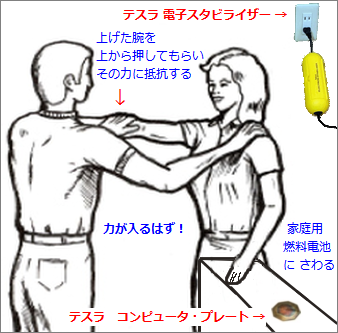 家庭用燃料電池にも、テスラ電子スタビライザーとコンピュータプレートで、健康的に安眠!