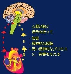 mysteries-of-the-heart.jpg