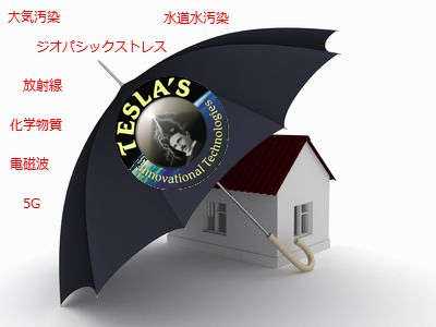 テスラで丸っとケア