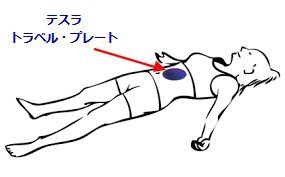 痛みのあるところに、テスラ トラベルプレート